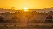 2 Days Private Safari To Maasai Mara National Reserve