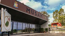 Italian Air Force Historical Museum Entrance Tickets