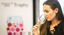 Taste of Prague: Wine Tasting Experience in Czechia