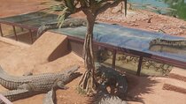 Crocodil Park transport and entrance ticket Crocoparc Included
