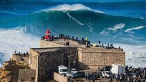 Tour Óbidos, Nazaré and Aveiro from Lisbon