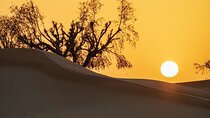 Sunrise/Morning Dune Drive with Camel Trek & Sand Surfing