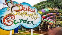 Dubai Butterfly Garden Tickets with Sharing Transfers