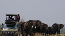 Private Full-Day Tour Akagera Game Drive 