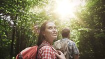 Taman Negara National Park Day Tour with Professional Local Guide