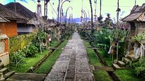 Bali Ubud and Kintamani Sightseeing Tour 