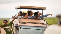 4-Day Private Safari Tour to Serengeti and Ngorongoro 