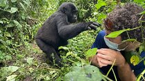 12-Day Moderately Priced Pearl of Africa - Uganda Private Safari