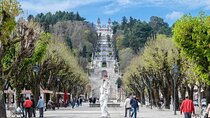 Transfer to Lamego from Lisbon