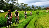 Private Bali Ubud Cycling 