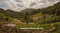 Knuckles Spice Trail Trek from Kandy