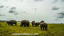 Visit sri Lanka 7 Days Round Trip