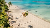 Ipioca Beach Tour from Maceió