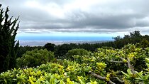  Private Upcountry Farm Tour on Maui 