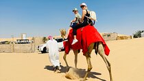 Abu Dhabi: Camel Trekking with Sunrise Desert Views