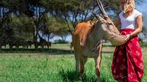 Serval wildlife ,Materuni waterfall and coffee tour