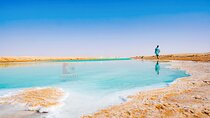 Al Wathba Fossil Dunes, Salt Lake & Wetland Experience Abu Dhabi