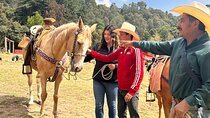 Horse experience with my family