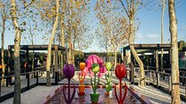 Matakana Art, Wine & Kiwi Discovery Experience - Private Tour