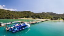 Bay of Islands Explorer Experience Small Group Tour From Auckland