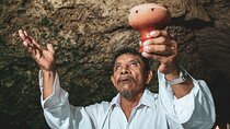 Cenotes Discovery: 3 Cenotes Tour & Mayan Ceremony
