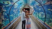 Shark Reef at Mandalay Bay Hotel and Casino