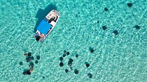 Sunrise at Stingray City, Private Tour