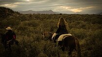 Private Experience Adventure Horseback Ride with Asado in Mendoza