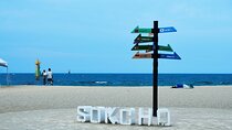 4N Seoul & Nami Island & Sokcho (Mt. Seorak) with 4 star hotel