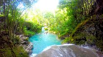 Zipline, Tubing and Island Gully Falls at White River