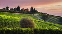 2 Hours Visit and Wine Tasting with tastings in Val D'Orcia
