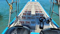 Tour two Beaches Cinto and Crystal Parque Tayrona