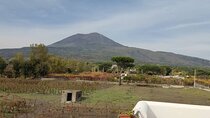 Mount Vesuvius Half Day Private Tour 