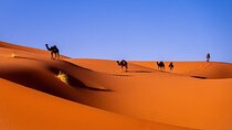3-Day Shared Tour to Merzouga: Sahara Magic & Camel Trek