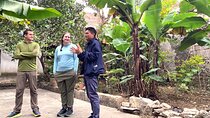 1 Day Visit Mua Cave - Trang An - Local Family - Cyling - Hoa Lu