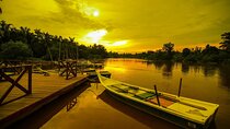 Private Kuala Selangor Firefly Day Trip from Kuala Lumpur