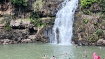 Best of Oahu's North Shore in small group (Se Habla Español)