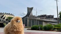 Private Guided Tour In Normandy - Rouen, Honfleur, Etretat 