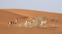 Agadir Jeep Safari & National Park including lunch & hotel pickup