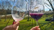 Fine wine tastings in São Roque - Tour with local guides
