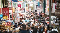 Private Tokyo Custom Full-Day Tour by Chartered Vehicle