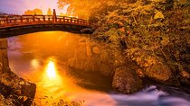 "Nikko Heritage Day Tour by Car with English-Speaking Chauffeur"