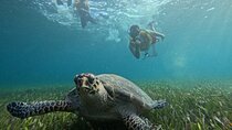 Jungle Tour Adventure Cancun