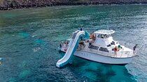 Maui Snorkel & Slide