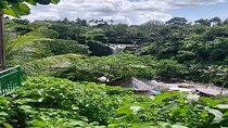 Private Guided Full Day Ubud Tour