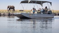 A 2 Day Victoria Falls & Chobe Safari Combo
