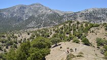 Private Trekking Rouvas Gorge