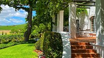 Wineland Without Wine Tasting 
