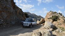 Private Lasithi Plateau, Olive Oil Factory, Pottery, Eco Farm