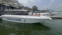 Private VIP Speed Boat to Phi Phi & Bamboo Islands